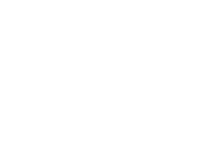 GBMO